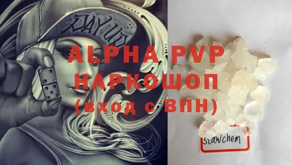 мяу мяу мука Белокуриха