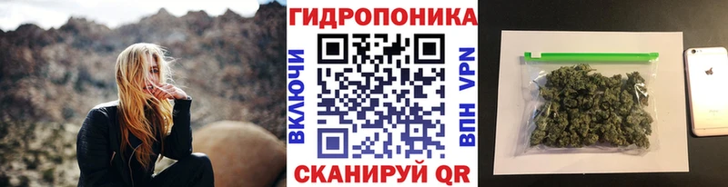 Купить закладки  Райчихинск  Бошки марихуана семена 